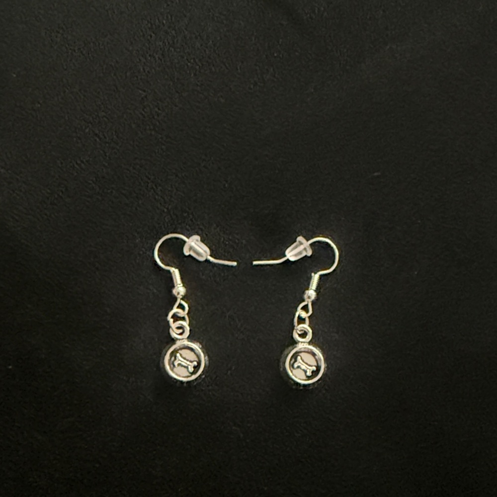Chic Silver Dangle Earrings